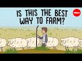 Pastoralism and Its Challenges