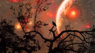Dj TB - Sunglider (Progressive Psytrance Mix 2014)