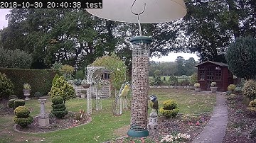 Afidus ATL-200 "Hybrid" mode test - birds footage