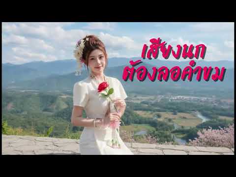 เสียงนกต้องลอคอขมหน่า သဵင်ၼူၵ်ႉတွင်ႉလေႃးၶေႃးၶူမ်ၼႃႇ Cover