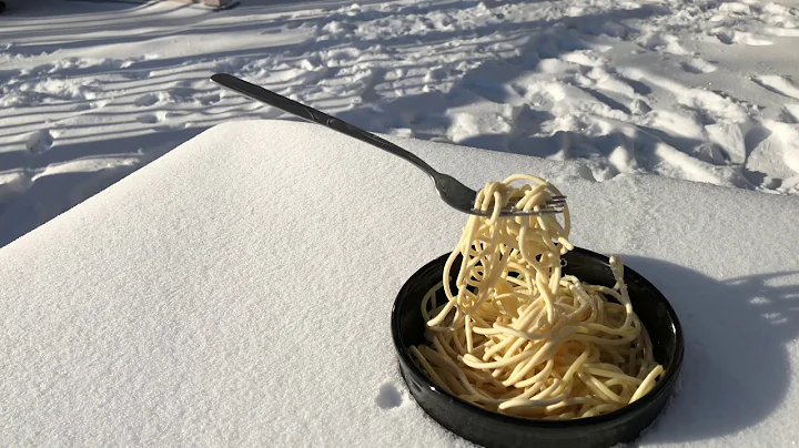 Freezing noodles in subzero temps #frozennoodles #snow #calgary 