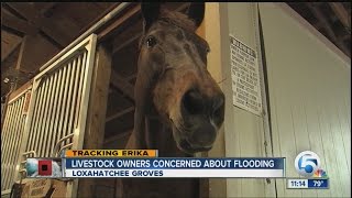 Livestock, horse owners preparing for Erika
