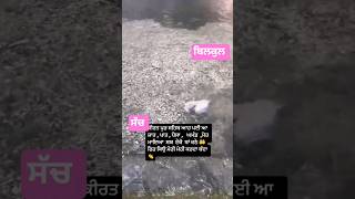 SEK | Kanwar Grewal | Punjabi Sufi Song | Full Audio#shorts #viral