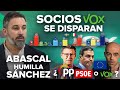 Los socios de vox se disparan abascal humilla a snchez y pppsoe pactarn en europa