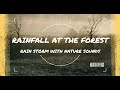 🐸 Rainfall at the Forest | Rainfall and Nature Sounds for Sleep or Study | Meditative Ease