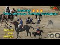 Талас облусунун Кокбору командасы, кызуу машыгууда 🔥🔥🔥