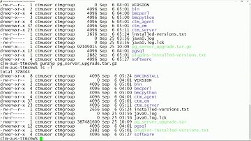 CWCM: Upgrading PostgreSQL Database After Control-M In-Place Upgrade