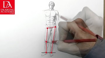 Proportion of the Human Body presented by Drawing Academy .com 33