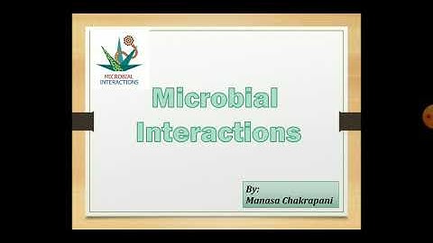Microbial Interactions