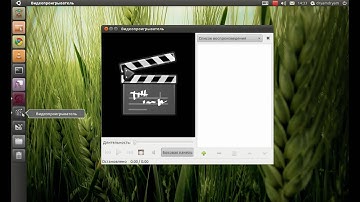 Ubuntu 10.10 i386 + Unity 2D