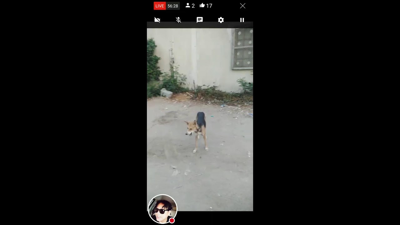 Axel Xela is live! 18 September 2024 | UPDATE with music