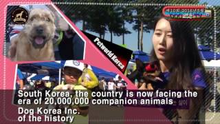(주)도그코리아 the first in the world. 유기견 없는 나라 만드는 세계...