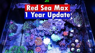 Red Sea Max Nano Reef   1 Year Update and tank tour