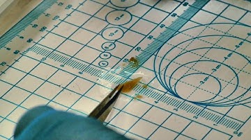 Tissue Cutting for TEM Processing