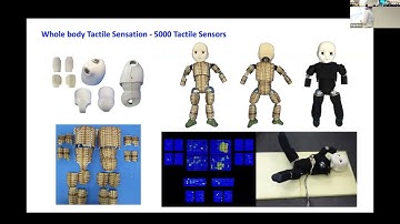 CoRL 2024 MRM-D Workshop: Mohsen Kaboli - Embodied Interactive Visuo-Tactile Perception and Learning