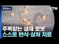사람 세포로 만든 생체 로봇...스스로 번식하고, 상처도 치료