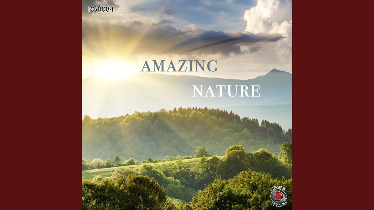 Watch In Flight on YouTube Watch In Flight on YouTube