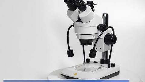 Microscopio stereo SWIFT S7-TGL da SWIFT Official eBay e Aliexpress Store