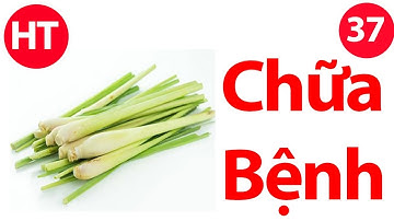 9 TÁC DỤNG CHỮA BỆNH TUYỆT VỜI CỦA CÂY SẢ