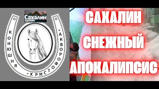 Конюшня Христофоровка. Снежная Метель (Январь 2024)