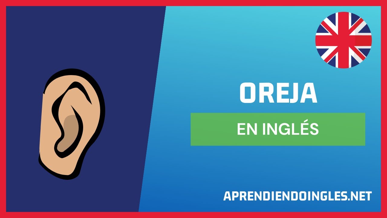 CÓMO se dice OREJA en INGLÉS 2022 🚀 APRENDE A ESCRIBIR EAR