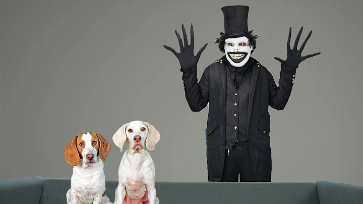 Dogs vs Babadook Prank: Funny Dogs Maymo & Potpie ...