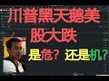 美股分析|川普黑天鹅美股大跌 是危？还是机？