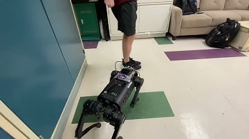 Computer vision-based obstacle avoidance system for a quadruped robot.