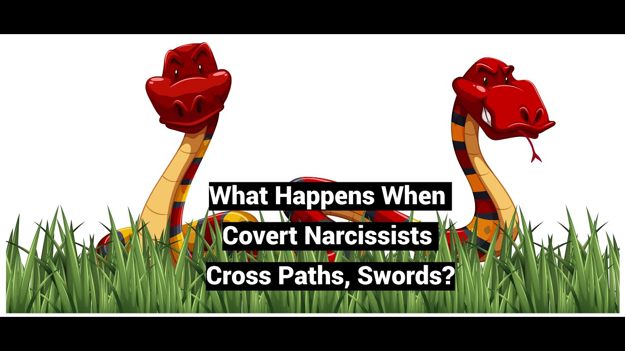 Video thumbnail — When Covert Narcissists Cross Paths, Swords