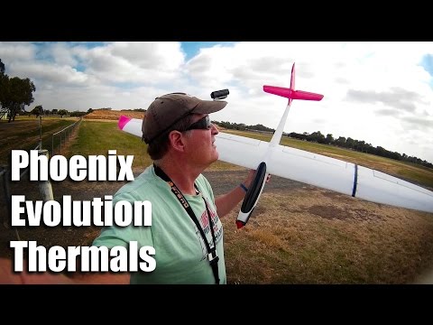Phoenix Evo thermals