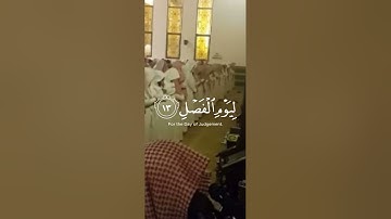 سورة المرسلات محمد اللحيدان 1438 تراويح يوم 29