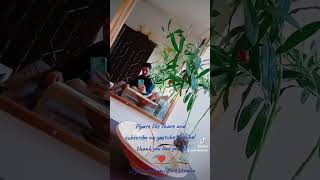 tujhe aik baar dekhon  by noor jehan song
