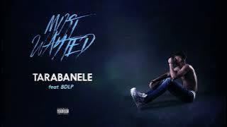 YNY Sebi ⓧ @BogdanDLP - Tarabanele 🎧 Audio