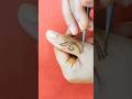 Easy mehndi || fingershenna || #mehndi #shorts #thehennahue #henna
