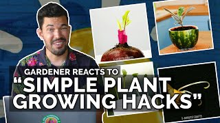 Gardener Reacts to 'Simple Plant Growing Hacks'