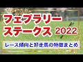 【フェブラリーステークス2022】レース傾向と好走馬の特徴まとめ