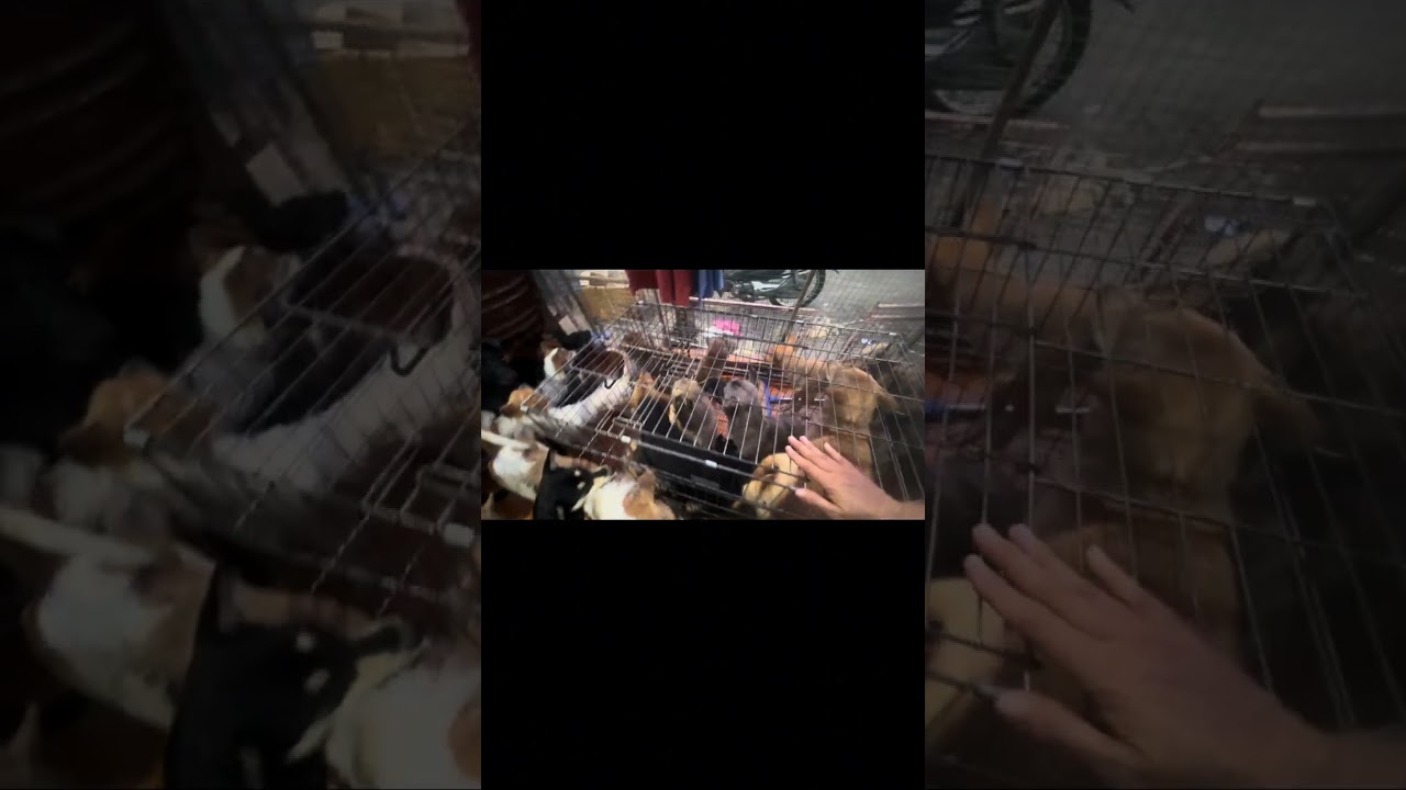 Mở bát đầu năm 