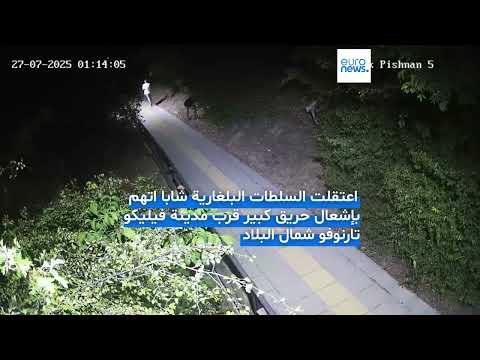 إشعال حريق متعمد في غابة شمال بلغاريا: فيديو يوثق الواقعة