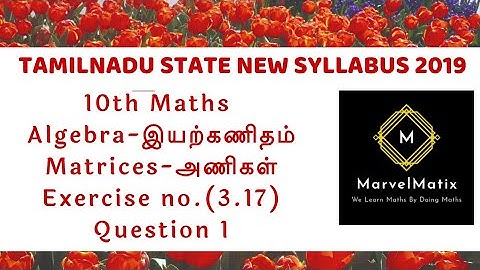 10thmaths class tamil Algebra Matrix Exercise 3.17 Question 1 #tamilnadusyllabus #அணிகள் பயிற்சி3.17