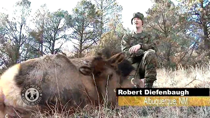 Vermejo Youth Elk Hunt