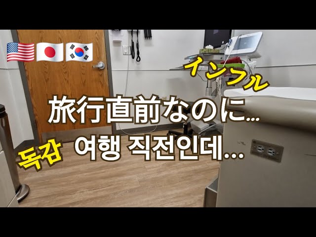 【日韓夫婦アメリカ生活🇺🇸】なんで今...このタイミングでインフル...初めての緊急歯医者 / 出発前ドタバタ記録  p.179