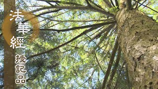 【靜思妙蓮華】法華經授記品 - 大雄大力 長劫精修 - 20210817 第946集