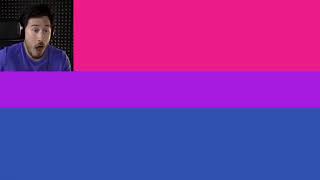 markiplier identifies the bi flag