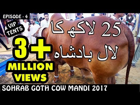COW MANDI SOHRAB GOTH 2017 | VIP TENTS | Episode 4 | Video in URDU/HINDI