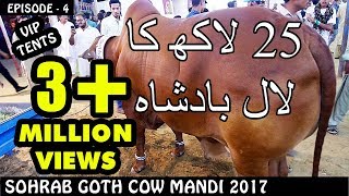 COW MANDI SOHRAB GOTH 2017 | VIP TENTS | Episode 4 | Video in URDU/HINDI