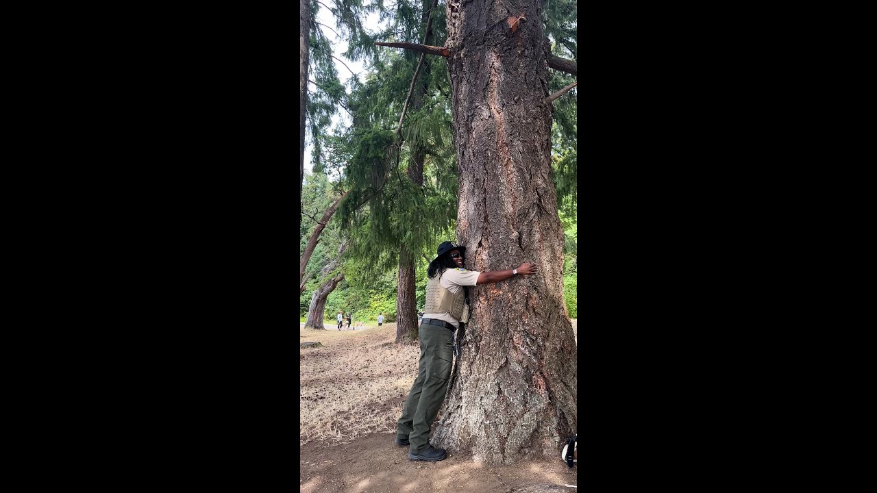 Seattle rangers share Seward Park's perfect picnic spot - YouTube