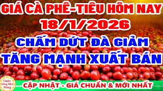 Download Lagu Giá cà phê hôm nay ngày 18/1/2026 | dứt đà giảm TĂNG MẠNH XUẤT BÁN - giá tiêu hôm nay MP3
