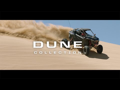 2022 RZR Pro