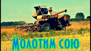 Комбайн Нива молотит сою Комбайнеры Harvester Niva threshes soybeans Жнива #vseklevo #синийтрактор