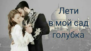 картинка: ☆ГОЛУБКА☆АННАиСУЛТАН